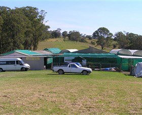 Tinonee Orchid Nursery - Accommodation Gladstone 0
