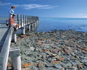Hamelin Pool Stromatolites - Accommodation Gladstone 3