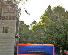 Half Day Stunt Academy - Accommodation Gladstone 1