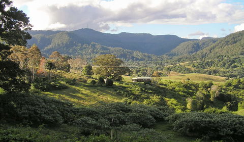 Mount Nardi Picnic Area - Accommodation Gladstone 0