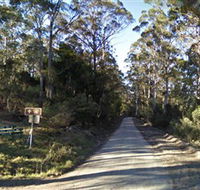 Box Cutting Rainforest Walk - Accommodation Gladstone