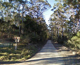 Box Cutting Rainforest Walk - Accommodation Gladstone 0