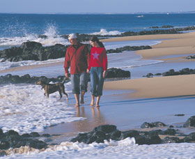 Back Beach - Accommodation Gladstone 0