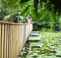 Rocky Creek Dam - Accommodation Gladstone