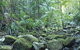 Rocky Creek Dam - thumb 5