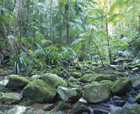 Rocky Creek Dam - Accommodation Gladstone 5
