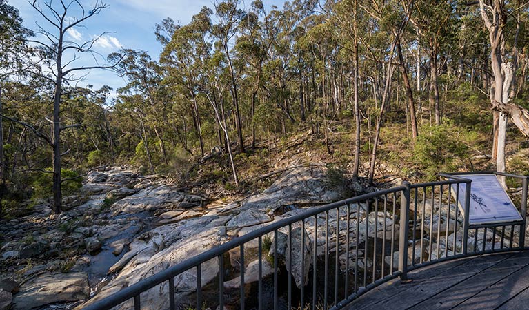 Coolangubra NSW Accommodation Gladstone