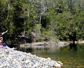 Mount Boss State Forest - Accommodation Gladstone 0