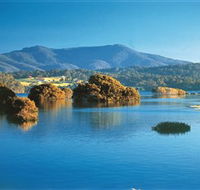 Wagonga Picnic Area - Accommodation Gladstone