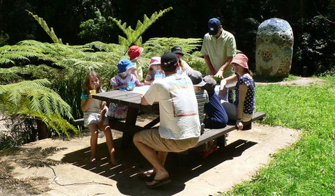 The Pines Picnic Area - Accommodation Gladstone 0