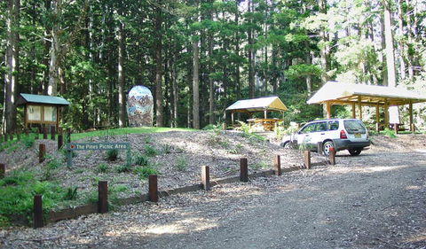 The Pines Picnic Area - Accommodation Gladstone 2