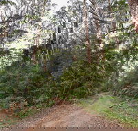 End Peak walking track - Accommodation Gladstone