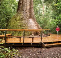Burrawan State Forest - Accommodation Gladstone