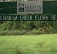 Woolgoolga Creek Flora Reserve - Accommodation Gladstone