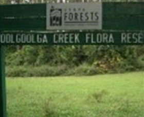 Woolgoolga Creek Flora Reserve - Accommodation Gladstone 0