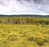 Yuraygir National Park - Accommodation Gladstone