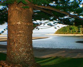 Moonee Beach - Accommodation Gladstone 1