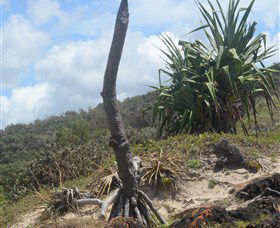 Chinamans Beach Evans Head - Accommodation Gladstone 2