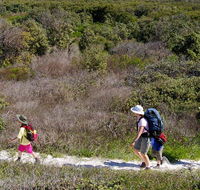 Yuraygir coastal walk - Accommodation Gladstone