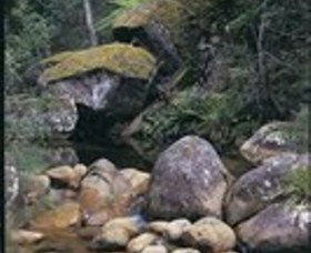 Mumbulla Creek Falls And Picnic Area - Accommodation Gladstone 1
