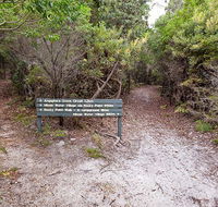 Angophora grove walking track - Accommodation Gladstone