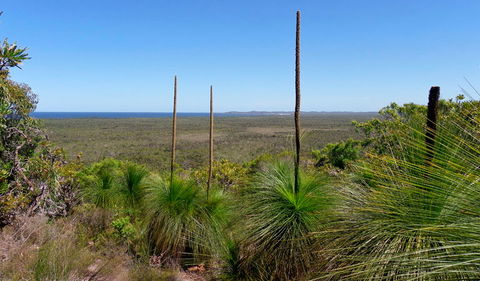 Broadwater National Park - Accommodation Gladstone 1