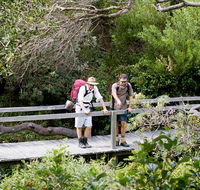 Wilsons Headland walking track - Accommodation Gladstone