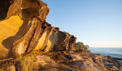 Angourie To Brooms Head - Accommodation Gladstone 0