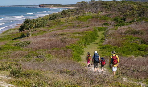 Angourie To Brooms Head - Accommodation Gladstone 3