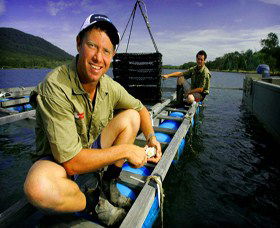 Armstrong Oysters - Accommodation Gladstone 0