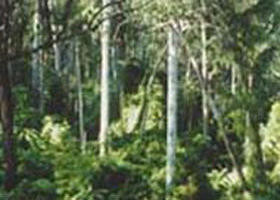 Lind National Park - Accommodation Gladstone 0