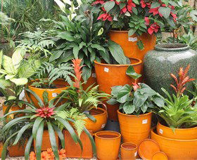 Diamond Waters Garden Nursery - Accommodation Gladstone 1