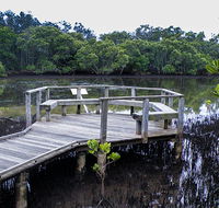 Walk on Water walking track - Accommodation Gladstone
