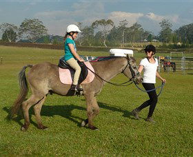 Port Macquarie Horse Riding Centre - Accommodation Gladstone 0