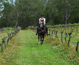Port Macquarie Horse Riding Centre - Accommodation Gladstone 1