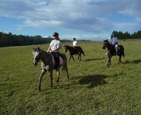 Port Macquarie Horse Riding Centre - Accommodation Gladstone 5