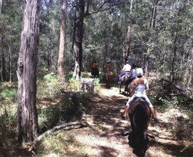 Port Macquarie Horse Riding Centre - Accommodation Gladstone 4