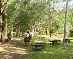 Port Macquarie Horse Riding Centre - Accommodation Gladstone 6