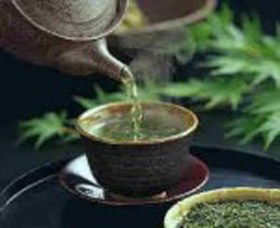 World Par-TEA - Accommodation Gladstone 0