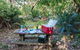 Broadwater Beach Picnic Area - thumb 0