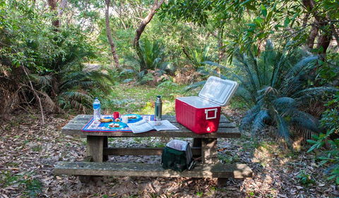 Broadwater Beach Picnic Area - Accommodation Gladstone 0