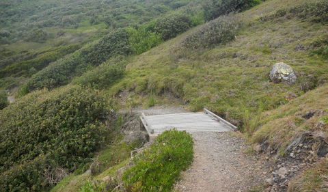 Connors Walking Track - Accommodation Gladstone 2