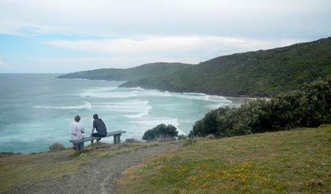Connors Walking Track - Accommodation Gladstone 3