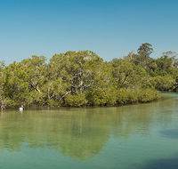 Tyagarah Nature Reserve - Accommodation Gladstone