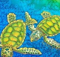 Sea Silks Gallery - Accommodation Gladstone
