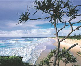 Lighthouse Beach Ballina - Accommodation Gladstone 1