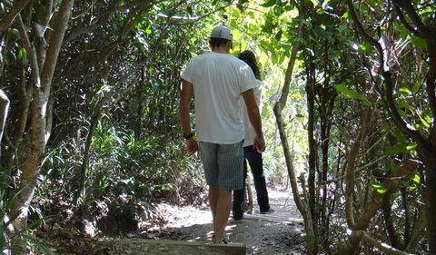 Three Sisters Walking Track - Accommodation Gladstone 0