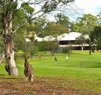 Pambula Merimbula Golf Club - Accommodation Gladstone