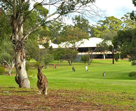 Pambula Merimbula Golf Club - Accommodation Gladstone 0