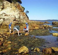 Sapphire Coast Marine Discovery Centre - Accommodation Gladstone